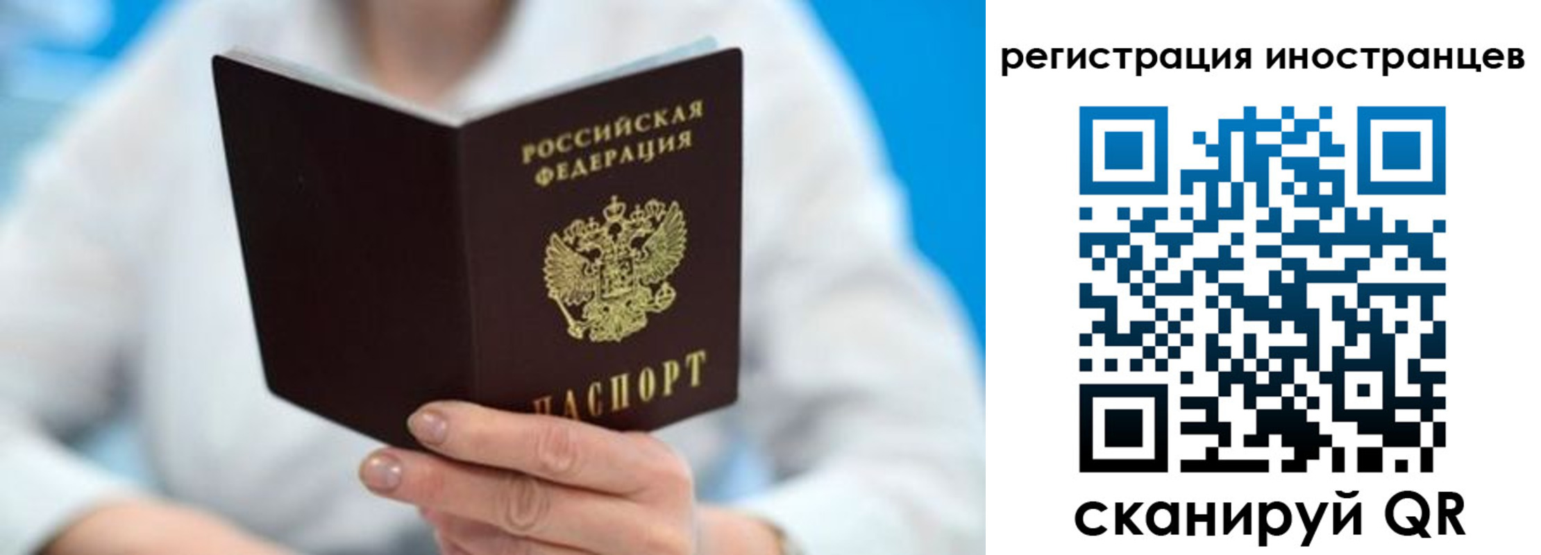 прописка гарантия в Благовещенске