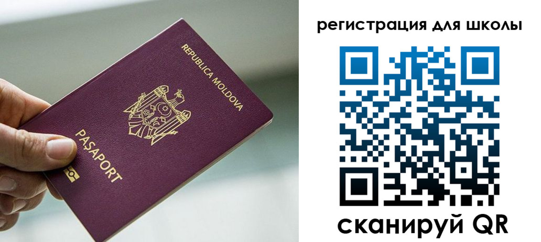 временная регистрация собственник в Благовещенске